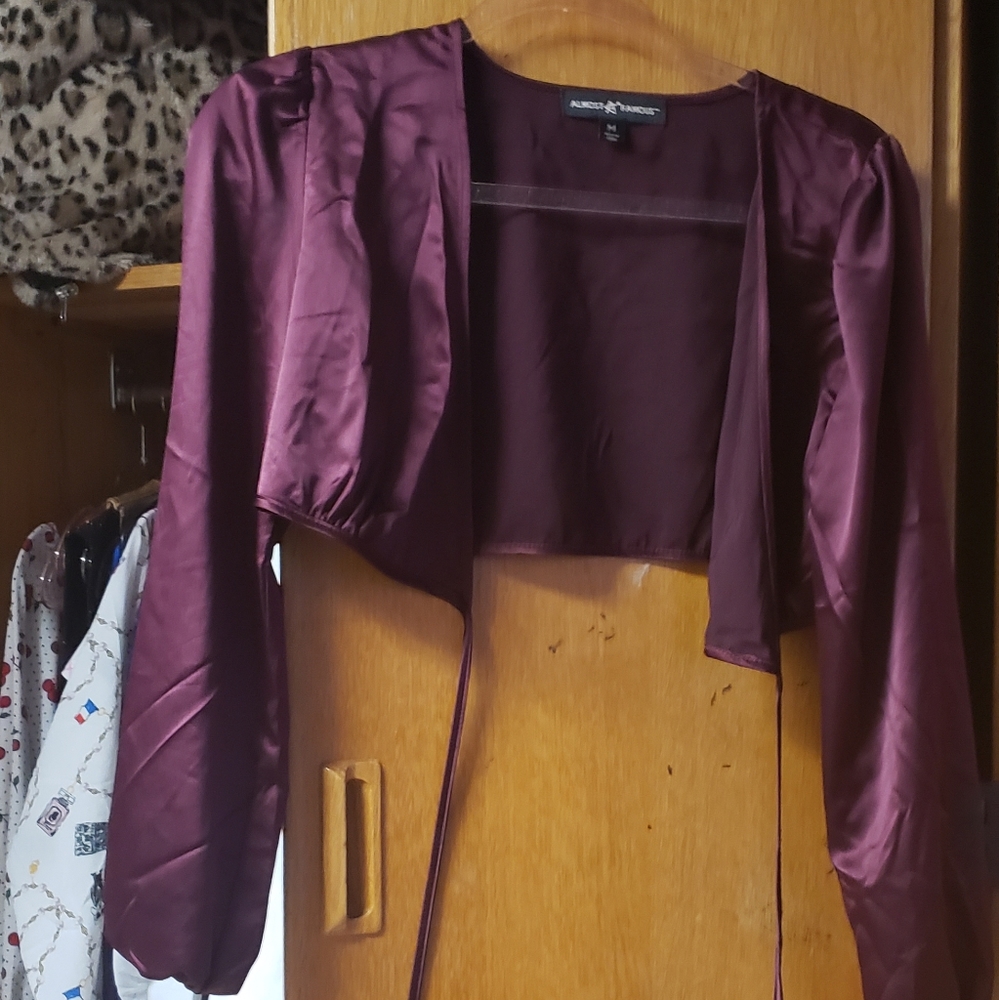 Mauve Almost Famous Silk Tie Crop Top